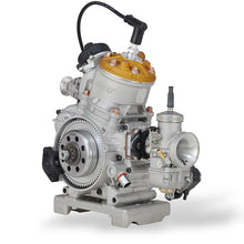 Load image into Gallery viewer, Vortex ROK GP Junior Complete Engine
