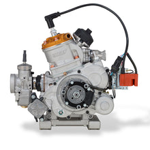 Load image into Gallery viewer, Vortex ROK GP Junior Complete Engine
